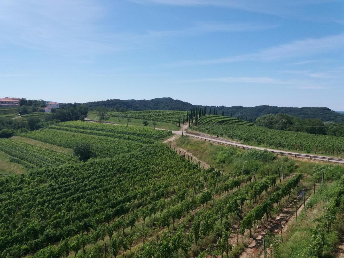 Agriturismo Casa Delle Rose Winery Ruttars Luaran gambar