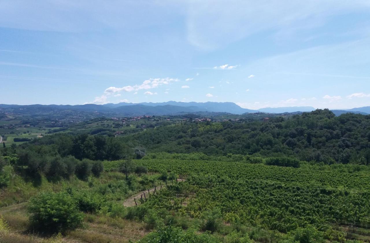 Agriturismo Casa Delle Rose Winery Ruttars Luaran gambar