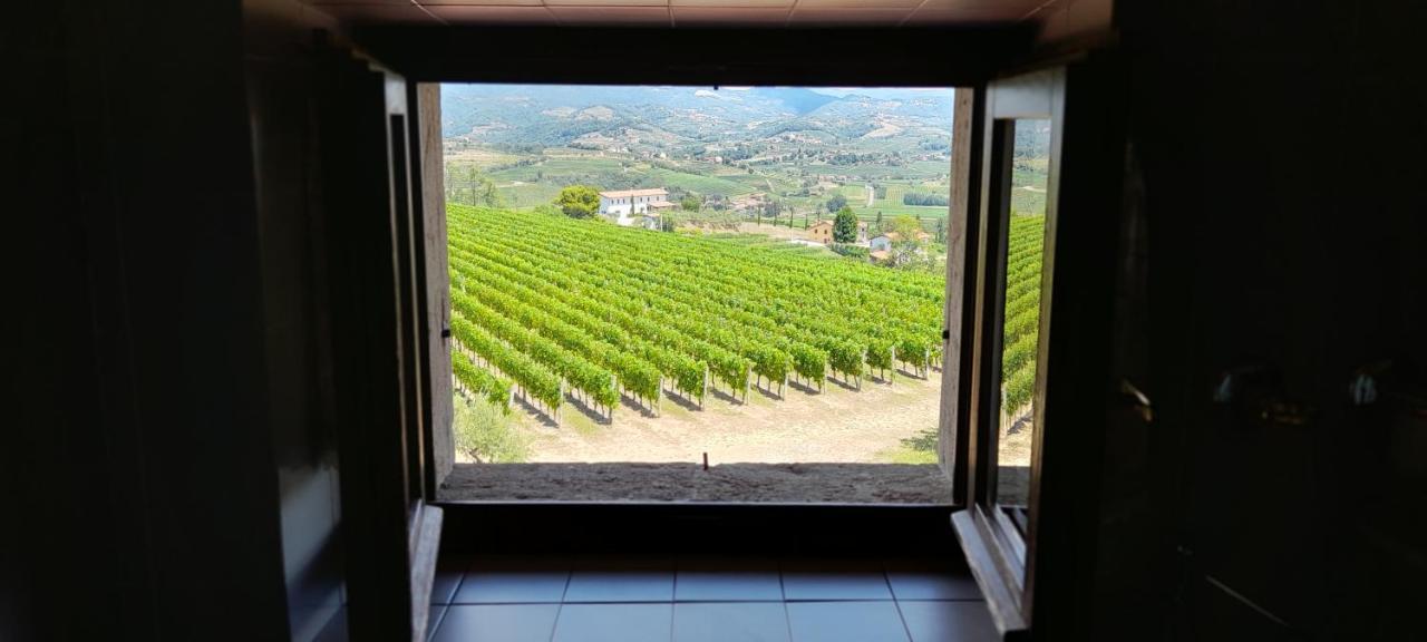 Agriturismo Casa Delle Rose Winery Ruttars Luaran gambar