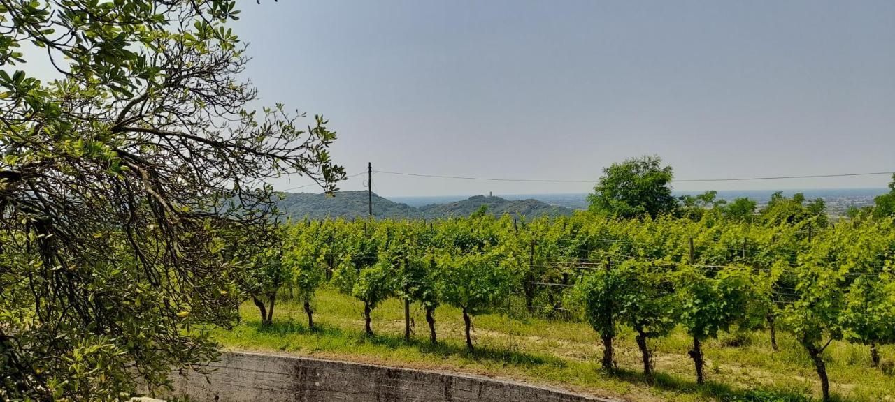 Agriturismo Casa Delle Rose Winery Ruttars Luaran gambar