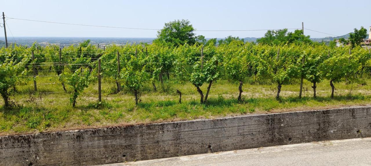 Agriturismo Casa Delle Rose Winery Ruttars Luaran gambar