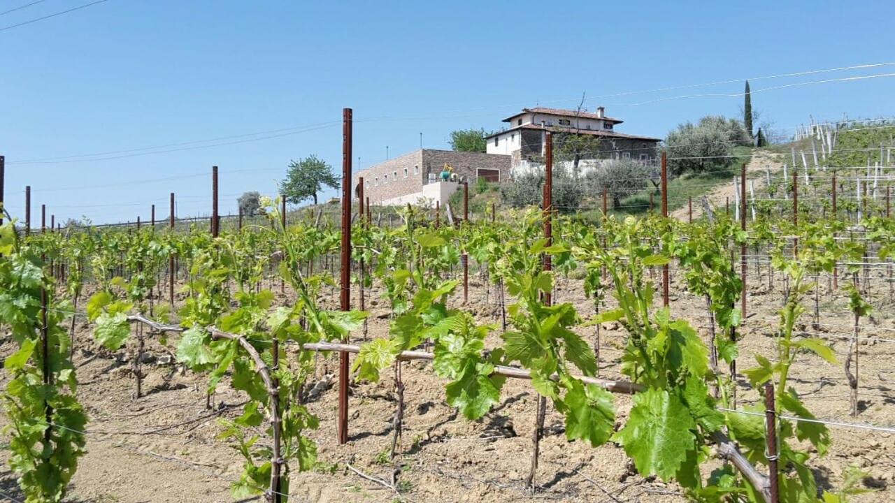 Agriturismo Casa Delle Rose Winery Ruttars Luaran gambar