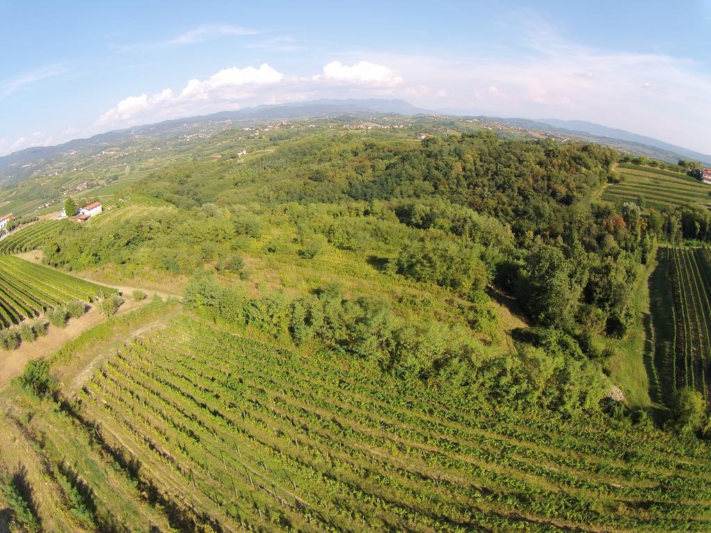 Agriturismo Casa Delle Rose Winery Ruttars Luaran gambar