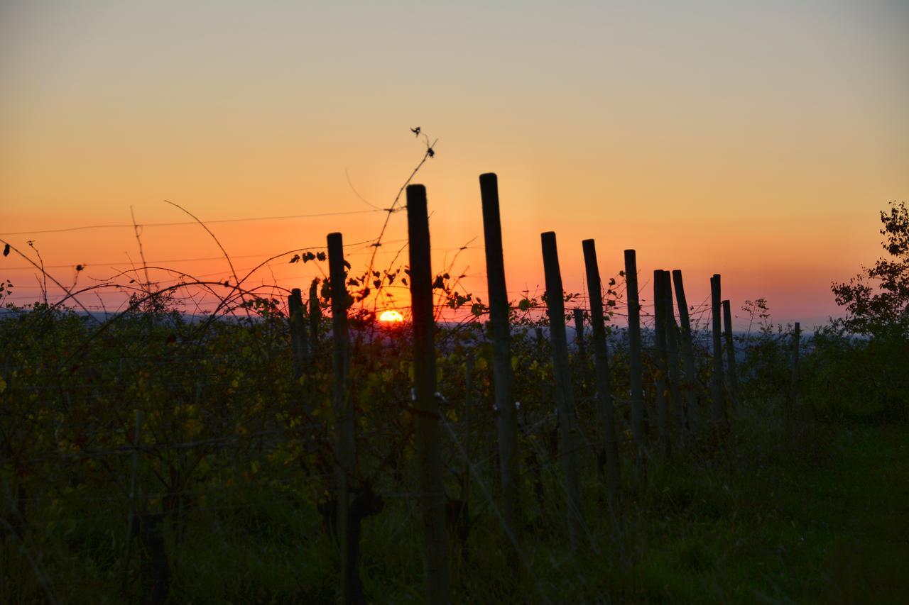 Agriturismo Casa Delle Rose Winery Ruttars Luaran gambar