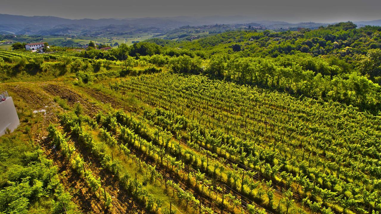 Agriturismo Casa Delle Rose Winery Ruttars Luaran gambar
